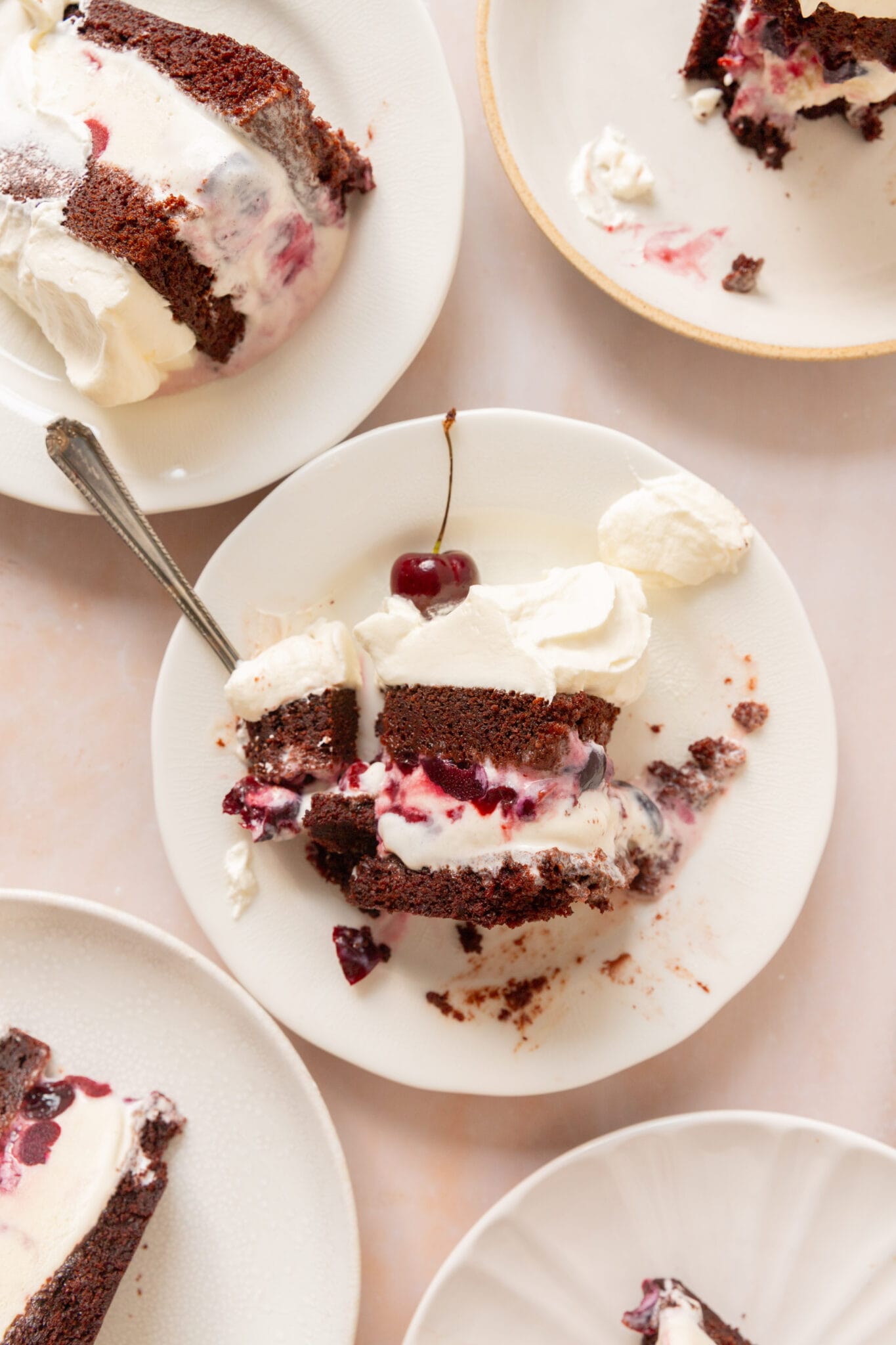 Black Forest Ice Cream Cake • Red Currant Bakery
