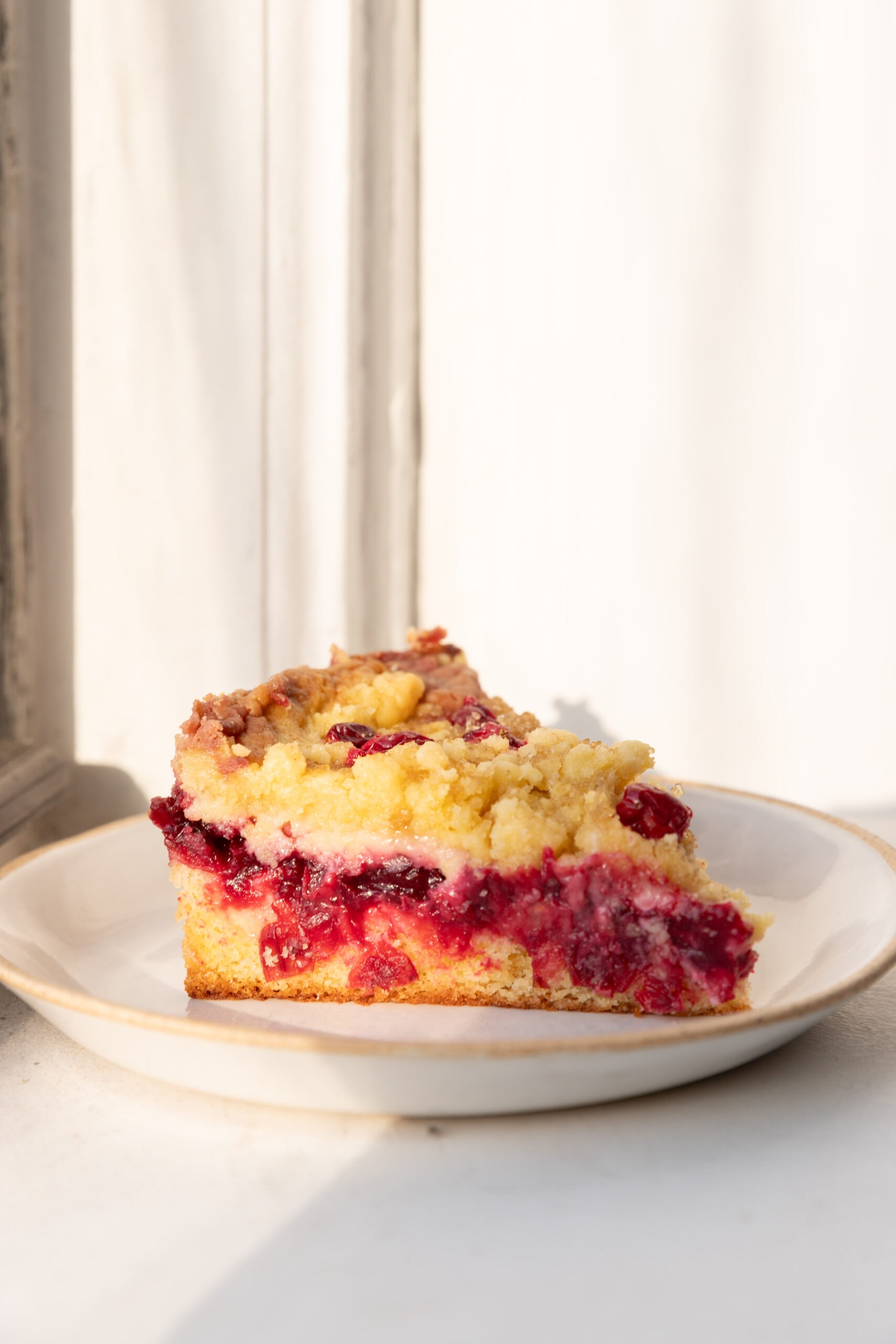 One slice of cranberry coffee cake sitting on a white ceramic plate. 