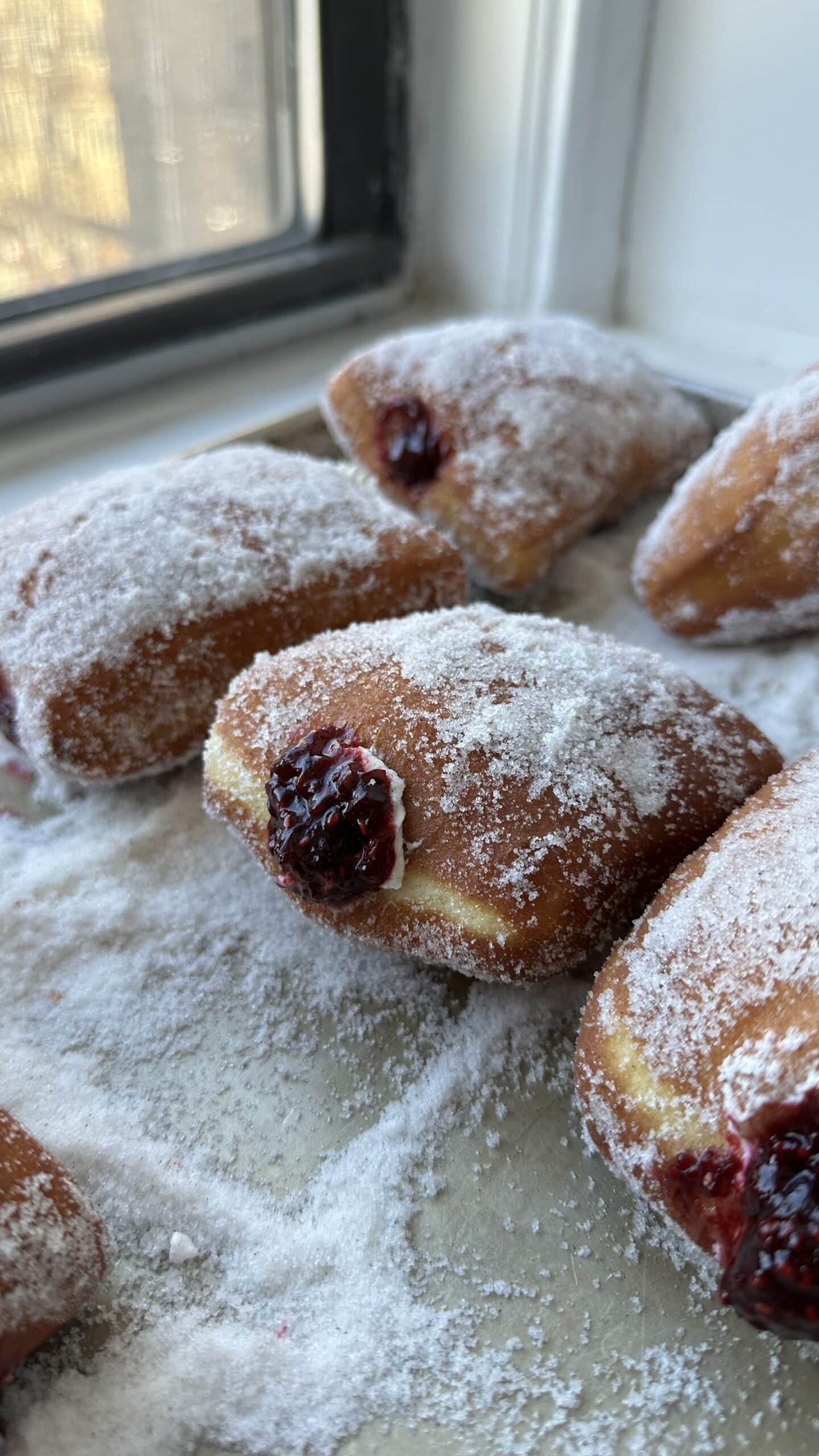 Cream and jam filled doughnuts, rolled in sugar on a baking sheet. 