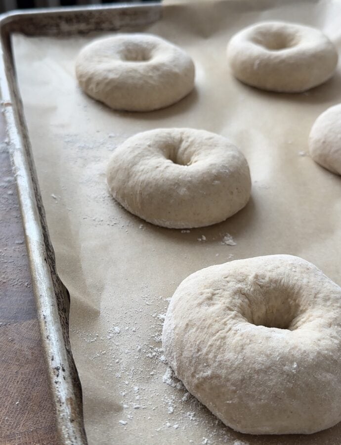 Sourdough Bagels