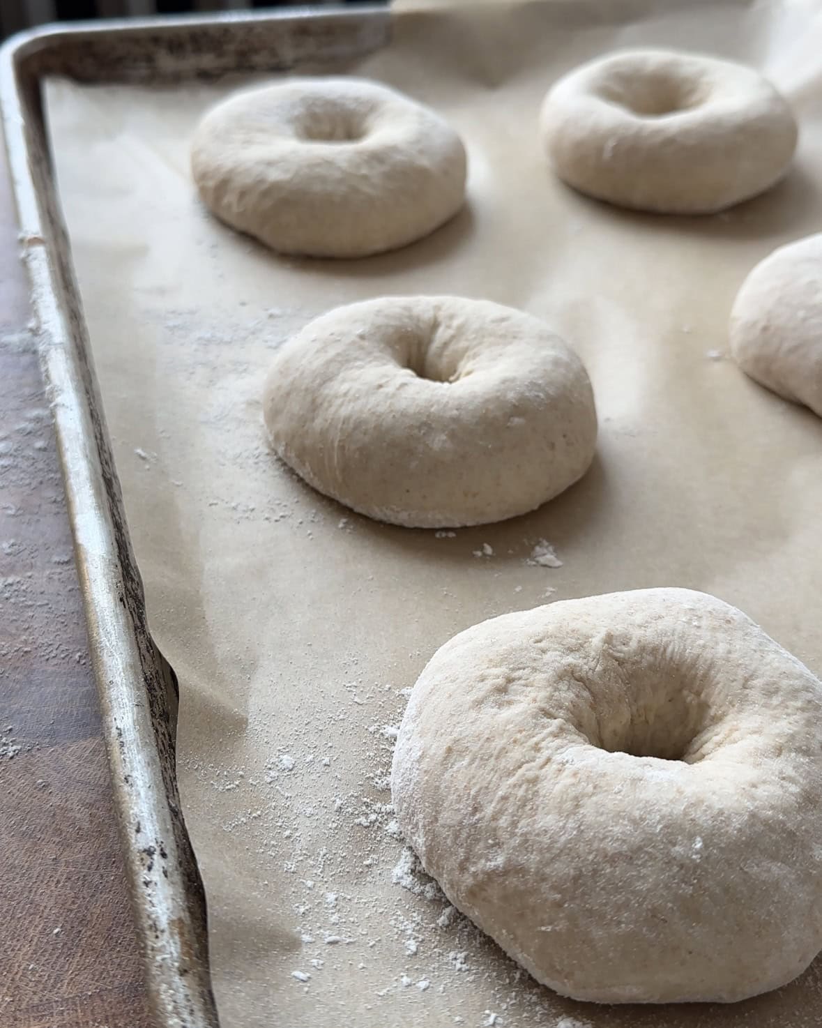 Sourdough Bagels-image
