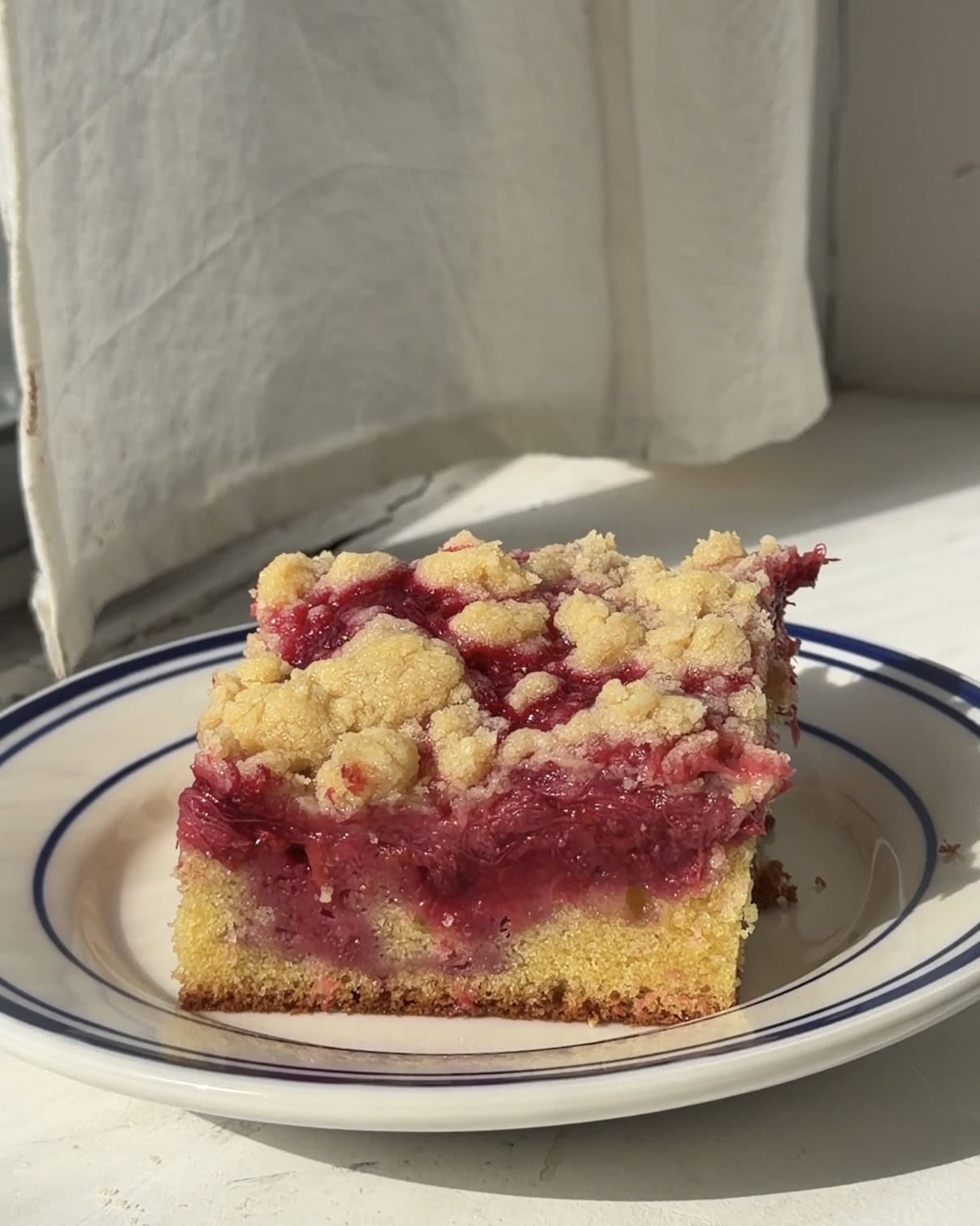 Side view of a slice of Rhubarb raspberry crumb cake on a white and blue plate.