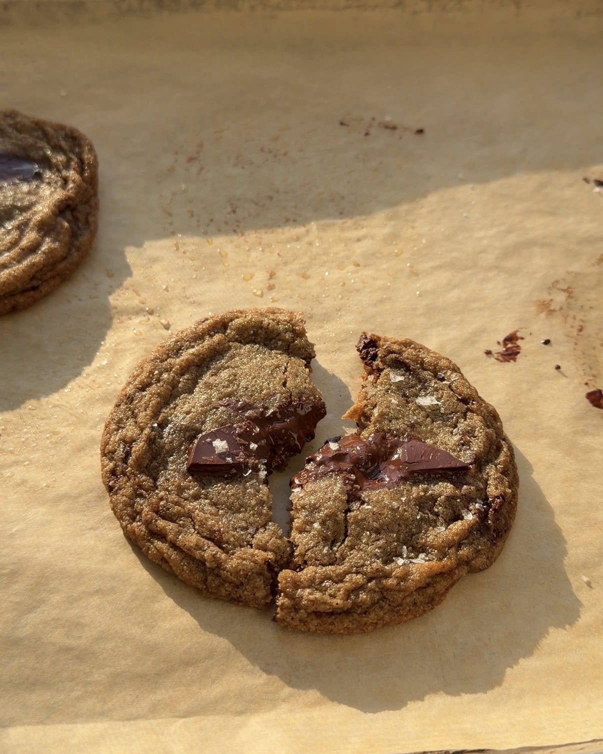 Side view of a rye chocolate chip cookie broken in half.
