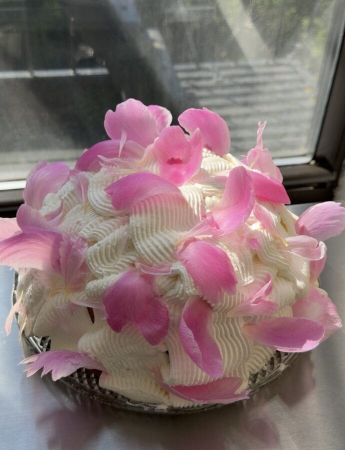 Berries & Cream Cake