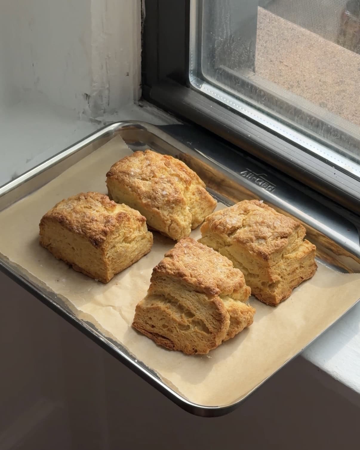 Side view of a baking sheet with four sea salt buttermilk biscuits.