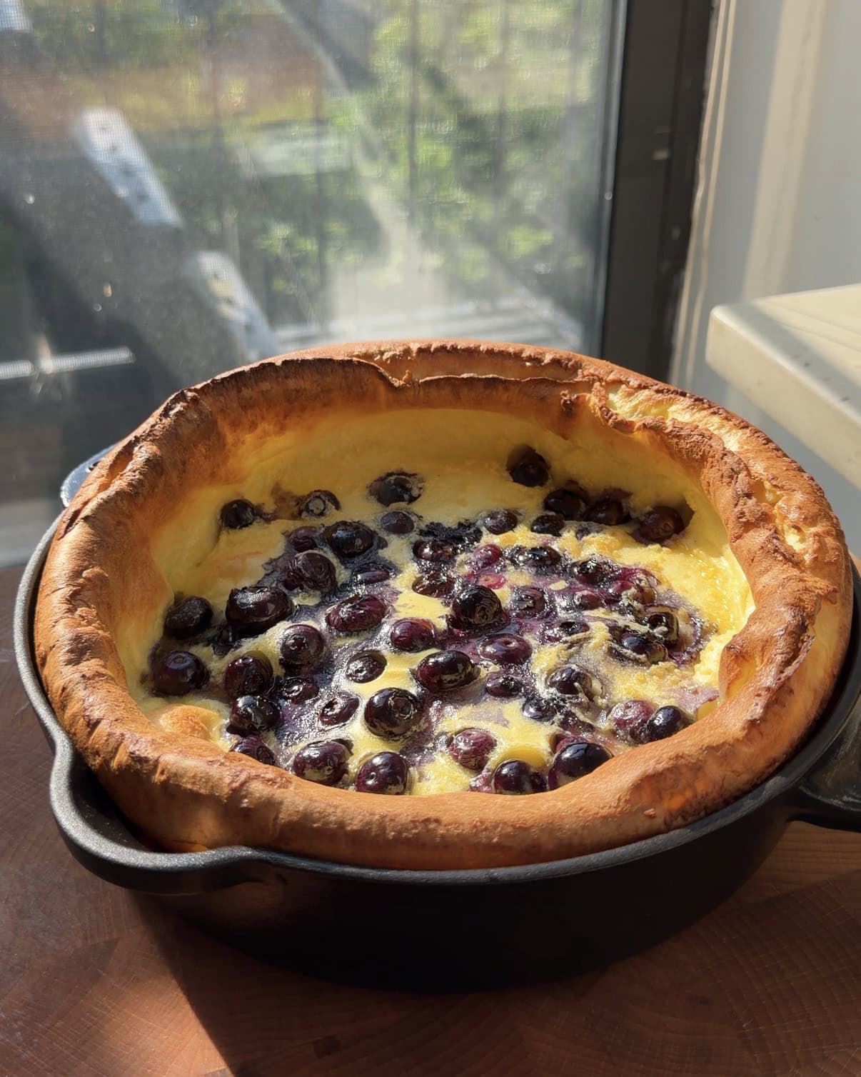 Side view of a lemon blueberry dutch baby cooked in a cast iron pan.