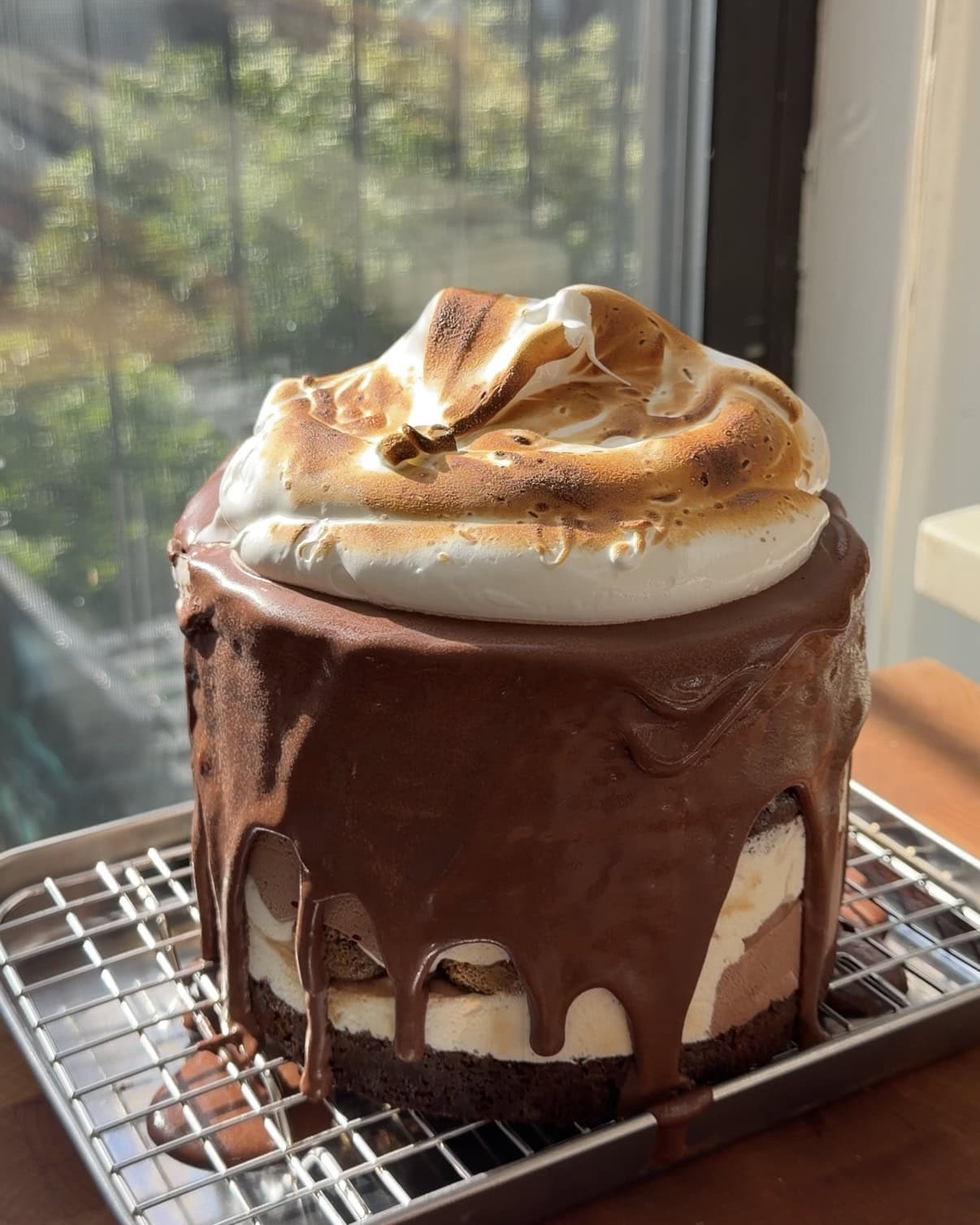 Side view of a complete Chocolate Tiramisu Ice Cream Cake.
