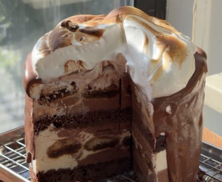 Side view of a Chocolate Tiramisu Ice Cream Cake with slices cut out showing the layers.