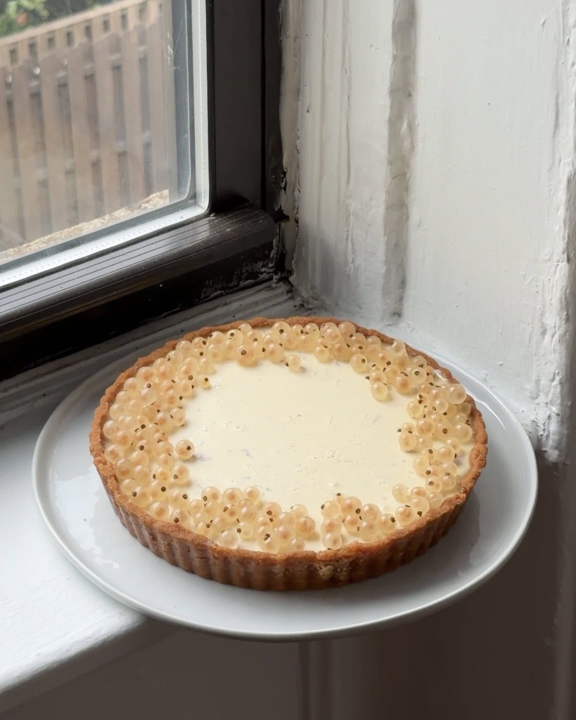 Side view of a Currant Panna Cotta tart topped with white currants on a large white plate.