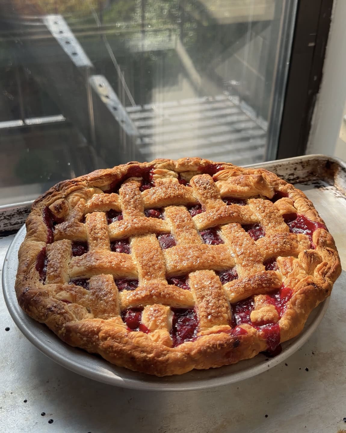 Side view of a sour cherry pie on a baking sheet.