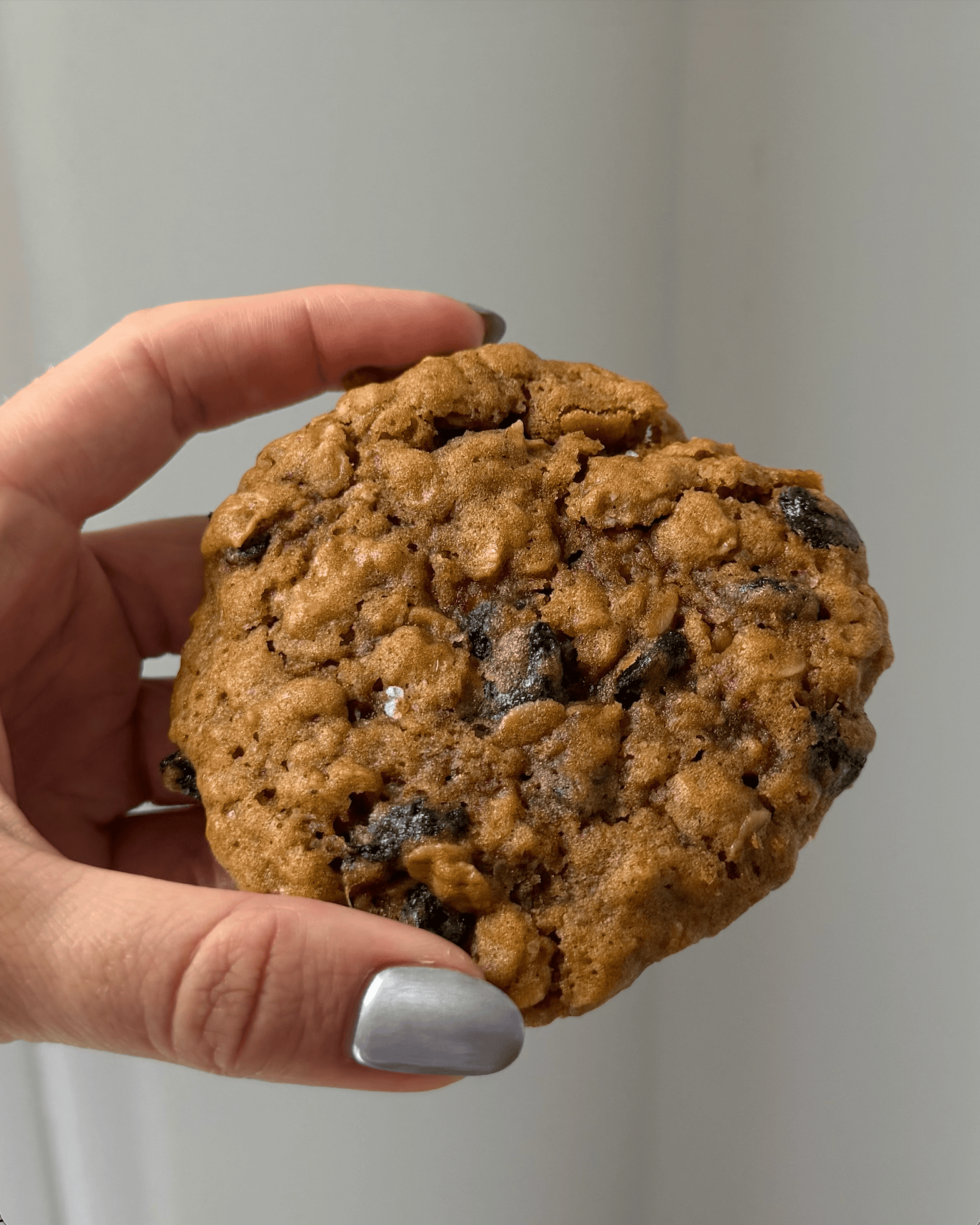 Side view of a hand holding up a soft and chewy oatmeal raisin cookie.